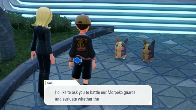 Maybe Morpeko Guards