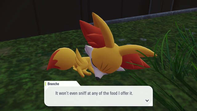 Get Well, Fennekin