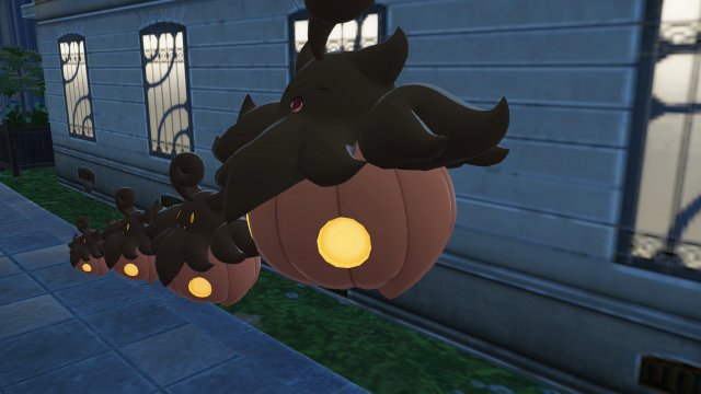 Jumbo Variety Pumpkaboo