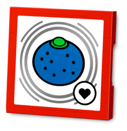 Oran Berry Tag