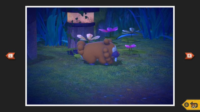 Bidoof at Park (Night)