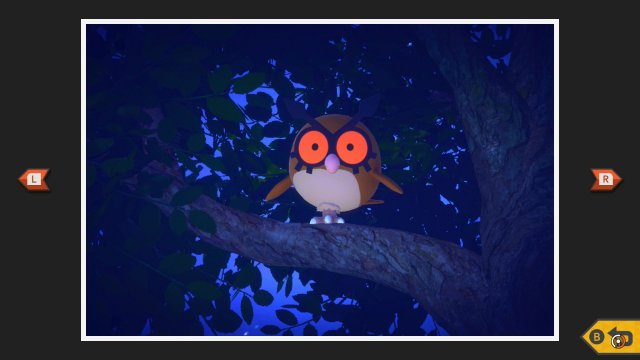 Hoothoot at Park (Night)