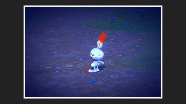 Scorbunny at Park (Night)