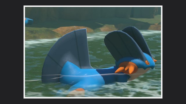 Swampert at River (Day)