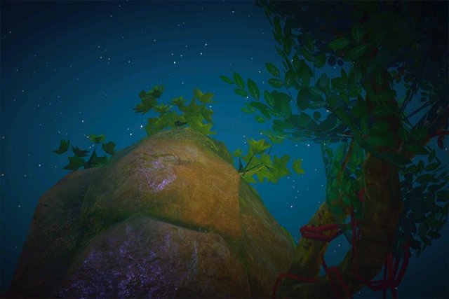 Diving Spot