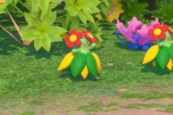 Bellossom - 3 Star Photo - New Pokémon Snap