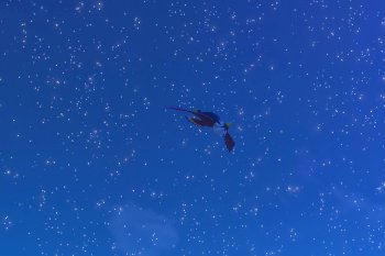 Braviary - 3 Star Photo - New Pokémon Snap