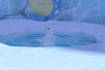 Dewgong - 4 Star Photo - New Pokémon Snap