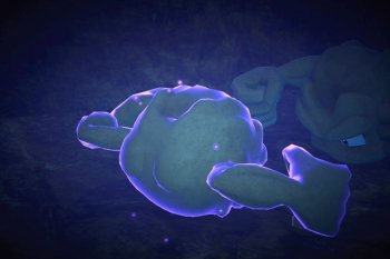 Geodude - 3 Star Photo - New Pokémon Snap