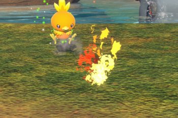 Torchic - 4 Star Photo - New Pokémon Snap