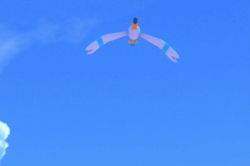 Wingull - 3 Star Photo - New Pokémon Snap
