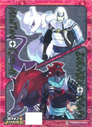 Pokémon + Nobunaga's Ambition - Bushou Leaders