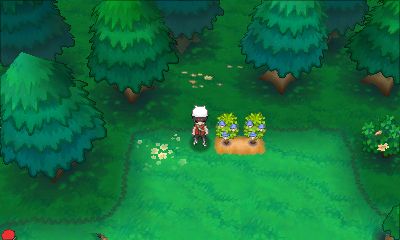 Pokemon Ruby, Sapphire, and Emerald Berry Uses and Locations
