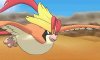 Mega Pidgeot in battle