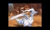 Reshiram in battle