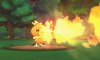 Torchic uses Flamethrower