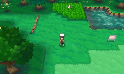 Pokearth Hoenn Route 102