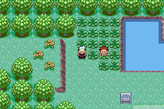 http://www.serebii.net/pokearth/maps/hoenn-th/2.png