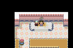 Rustboro City Gym, Pokemonupgradeindigo Wiki