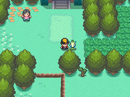 Johto Route 47: Remaster ▻ Pokémon Heart Gold & Soul Silver 