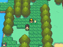 Johto Route 43, PokeMMO Wiki