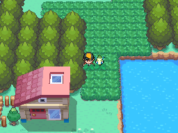 Johto Route 46 - PokeMMO Wiki