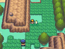 Johto Route 32, PokeMMO Wiki