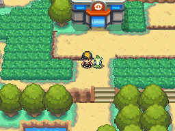 Pokemon soul silver-Liga Pokemon johto 