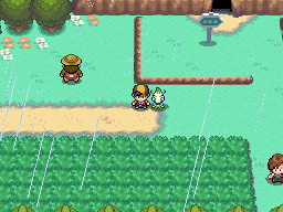 Johto Route 33, PokeMMO Wiki