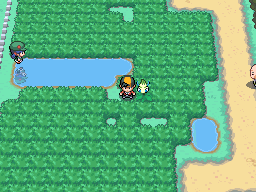 Pokéarth - Johto - Route 32