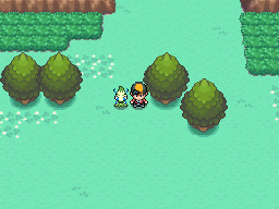 Pokéarth - Johto - Safari Zone