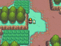 Johto Safari Zone Gate, Pokemon Planet Wikia