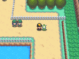 Johto Route 35, PokeMMO Wiki