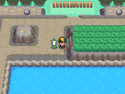 How to Get More Places in the Safari Zone in Pokemon SoulSilver