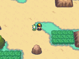 Zona Safari (Safari Zone) - Guía Pokémon HeartGold y SoulSilver