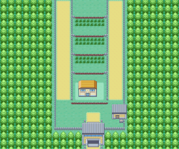 Route 5