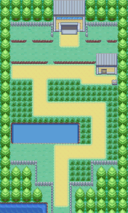 Route 6