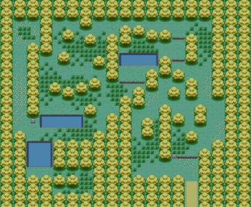 Berry Forest