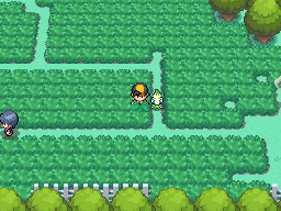 Pokearth Kanto Route 11