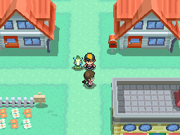 Pokmon HeartGold & SoulSilver