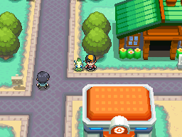 Pokmon HeartGold & SoulSilver