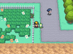 Pokémon Gold and Silver/Route 8 — StrategyWiki