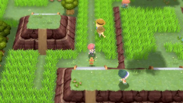 Johto Route 43, PokeMMO Wiki