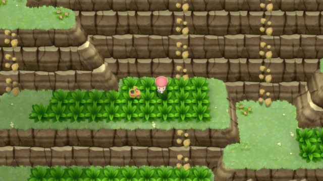 Route 226 (Encounters & Items) - Postgame Areas - Postgame, Pokémon:  Brilliant Diamond & Shining Pearl