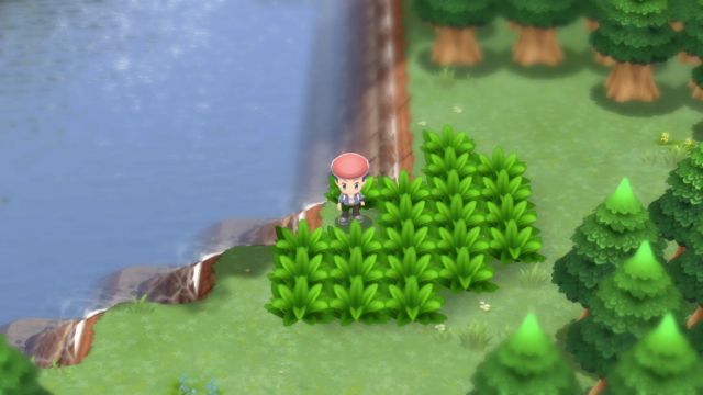 Pokémon Brilliant Diamond and Shining Pearl Fishing Guide: Where To Get  Old, Good, and Super Rods