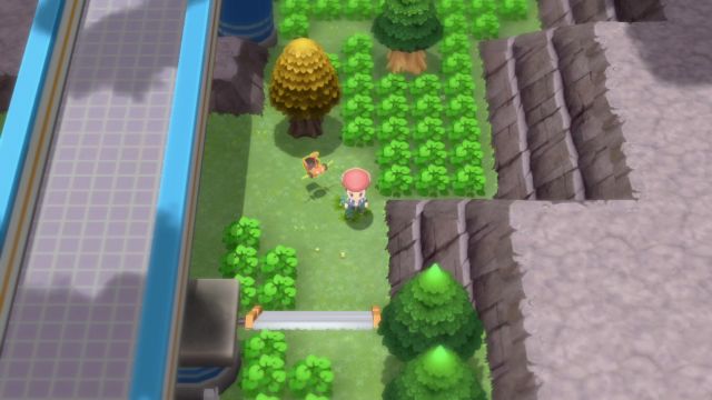 Pok arth Sinnoh Route 206