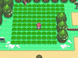 http://www.serebii.net/pokearth/maps/sinnoh-pt/1.png