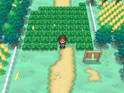 http://www.serebii.net/pokearth/maps/unova/1.png