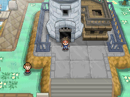 Pokémon Black 2 & White 2