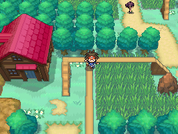 http://www.serebii.net/pokearth/maps/unova/7.png